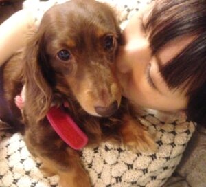Rina Takeda Instagram - 先日、愛犬のラヴが天国に行きました。いつもSNSを通して可愛がってくれていたファンの方々から心配のメッセージがたくさん届いていたので、早くご報告しなくてはと思いながら時間が経ってしまいました。
この一ヵ月半、何も手につかないほどバタバタしていたので、私自身ようやく気持ちを落ち着かせて今この文章を書いています。

33年生きてきて、誰かのためにここまで涙を流したのは初めてでした。覚悟はあったものの、ラブが急激に体調を崩してからの一週間は現場に行くのも心苦しかったけど、家族で支え合いラブも寂しい思いをせず過ごせたと思います。
危篤状態になってからも現場と実家を行き来していたので、最後の日は仕事から帰ってくるのを待っていてくれて、時間を共にすることができました。精一杯の「ありがとう」と「だいすき」を伝えて、家族でラブを囲んでたくさんお話をしました。
最期は大好きな母に撫でられながら、苦しむことなく息をひき取り、優しい顔で眠っていました。
高校生の頃から一緒に過ごしてきたので私にとっては妹のような存在でした。でもいつの間にか私より先に大人になって、昔はあんなに甘えん坊だったラブさんが大人になったら逆にクールになり、ベタベタ甘える私に「だるいよーゔぅー」と時々あしらうようにもなって😂、ラブの方がお姉ちゃんのような存在になっていたなぁなんて思う事もあります。

先日、母がふと「あんなに小さいのに、存在感すごかったよね。ラブがいないだけでこんなに家が広く静かに感じるんだもんね」とリビングで呟いていました。
ラブと過ごした16年間は思い出がありすぎて、写真や動画を見ては愛おしさに溢れていて、今でも涙が止まらなくなります。
お別れは本当にさみしくて寂しくてたまらないけれど、頑張ってきたラブが楽になれたんだと思うと少しホッとする自分もいます。
これからは大好きなご飯もまたたくさん食べれるし、動かなかった後脚を使ってまた走り回れるから。
それでもやっぱり寂しいんだよなぁ
短い足でぴょんぴょん走ってる姿、大好きだったな

頑固で、驚くほど食いしん坊で、我慢強くて、優しくて立派な妹。そんなラブと出会えて幸せでした。
我が家にたくさんの愛をくれたラブさんは、天国に行ってもみんなから愛されると思います。姉犬イブもいるから安心です^_^ 
これからはぽっかり寂しい日々が続くけど、家族で支え合って元気に過ごしたいと思います！そして、弟分のウィル🐈が寂しい思いをしないように、たくさんの愛を与えていきます。

今までラブのこと可愛がってくれた皆さん、本当にありがとうございました。

皆さんのペット(家族)も
健康で愛に溢れた日々を過ごせますように^ ^

Thanks My little sister. Meeting you has made my life happy. I will love you forever.
When you go to heaven, run a lot and eat a lot We'll always think of you. I really love you.

I wish you and your pets happiness🍀