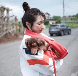 Rina Takeda Instagram - 先日、愛犬のラヴが天国に行きました。いつもSNSを通して可愛がってくれていたファンの方々から心配のメッセージがたくさん届いていたので、早くご報告しなくてはと思いながら時間が経ってしまいました。
この一ヵ月半、何も手につかないほどバタバタしていたので、私自身ようやく気持ちを落ち着かせて今この文章を書いています。

33年生きてきて、誰かのためにここまで涙を流したのは初めてでした。覚悟はあったものの、ラブが急激に体調を崩してからの一週間は現場に行くのも心苦しかったけど、家族で支え合いラブも寂しい思いをせず過ごせたと思います。
危篤状態になってからも現場と実家を行き来していたので、最後の日は仕事から帰ってくるのを待っていてくれて、時間を共にすることができました。精一杯の「ありがとう」と「だいすき」を伝えて、家族でラブを囲んでたくさんお話をしました。
最期は大好きな母に撫でられながら、苦しむことなく息をひき取り、優しい顔で眠っていました。
高校生の頃から一緒に過ごしてきたので私にとっては妹のような存在でした。でもいつの間にか私より先に大人になって、昔はあんなに甘えん坊だったラブさんが大人になったら逆にクールになり、ベタベタ甘える私に「だるいよーゔぅー」と時々あしらうようにもなって😂、ラブの方がお姉ちゃんのような存在になっていたなぁなんて思う事もあります。

先日、母がふと「あんなに小さいのに、存在感すごかったよね。ラブがいないだけでこんなに家が広く静かに感じるんだもんね」とリビングで呟いていました。
ラブと過ごした16年間は思い出がありすぎて、写真や動画を見ては愛おしさに溢れていて、今でも涙が止まらなくなります。
お別れは本当にさみしくて寂しくてたまらないけれど、頑張ってきたラブが楽になれたんだと思うと少しホッとする自分もいます。
これからは大好きなご飯もまたたくさん食べれるし、動かなかった後脚を使ってまた走り回れるから。
それでもやっぱり寂しいんだよなぁ
短い足でぴょんぴょん走ってる姿、大好きだったな

頑固で、驚くほど食いしん坊で、我慢強くて、優しくて立派な妹。そんなラブと出会えて幸せでした。
我が家にたくさんの愛をくれたラブさんは、天国に行ってもみんなから愛されると思います。姉犬イブもいるから安心です^_^ 
これからはぽっかり寂しい日々が続くけど、家族で支え合って元気に過ごしたいと思います！そして、弟分のウィル🐈が寂しい思いをしないように、たくさんの愛を与えていきます。

今までラブのこと可愛がってくれた皆さん、本当にありがとうございました。

皆さんのペット(家族)も
健康で愛に溢れた日々を過ごせますように^ ^

Thanks My little sister. Meeting you has made my life happy. I will love you forever.
When you go to heaven, run a lot and eat a lot We'll always think of you. I really love you.

I wish you and your pets happiness🍀