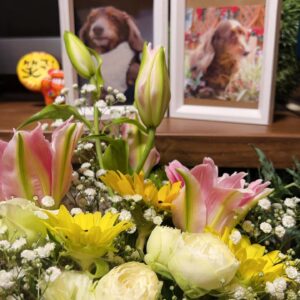 Rina Takeda Instagram - 先日、愛犬のラヴが天国に行きました。いつもSNSを通して可愛がってくれていたファンの方々から心配のメッセージがたくさん届いていたので、早くご報告しなくてはと思いながら時間が経ってしまいました。
この一ヵ月半、何も手につかないほどバタバタしていたので、私自身ようやく気持ちを落ち着かせて今この文章を書いています。

33年生きてきて、誰かのためにここまで涙を流したのは初めてでした。覚悟はあったものの、ラブが急激に体調を崩してからの一週間は現場に行くのも心苦しかったけど、家族で支え合いラブも寂しい思いをせず過ごせたと思います。
危篤状態になってからも現場と実家を行き来していたので、最後の日は仕事から帰ってくるのを待っていてくれて、時間を共にすることができました。精一杯の「ありがとう」と「だいすき」を伝えて、家族でラブを囲んでたくさんお話をしました。
最期は大好きな母に撫でられながら、苦しむことなく息をひき取り、優しい顔で眠っていました。
高校生の頃から一緒に過ごしてきたので私にとっては妹のような存在でした。でもいつの間にか私より先に大人になって、昔はあんなに甘えん坊だったラブさんが大人になったら逆にクールになり、ベタベタ甘える私に「だるいよーゔぅー」と時々あしらうようにもなって😂、ラブの方がお姉ちゃんのような存在になっていたなぁなんて思う事もあります。

先日、母がふと「あんなに小さいのに、存在感すごかったよね。ラブがいないだけでこんなに家が広く静かに感じるんだもんね」とリビングで呟いていました。
ラブと過ごした16年間は思い出がありすぎて、写真や動画を見ては愛おしさに溢れていて、今でも涙が止まらなくなります。
お別れは本当にさみしくて寂しくてたまらないけれど、頑張ってきたラブが楽になれたんだと思うと少しホッとする自分もいます。
これからは大好きなご飯もまたたくさん食べれるし、動かなかった後脚を使ってまた走り回れるから。
それでもやっぱり寂しいんだよなぁ
短い足でぴょんぴょん走ってる姿、大好きだったな

頑固で、驚くほど食いしん坊で、我慢強くて、優しくて立派な妹。そんなラブと出会えて幸せでした。
我が家にたくさんの愛をくれたラブさんは、天国に行ってもみんなから愛されると思います。姉犬イブもいるから安心です^_^ 
これからはぽっかり寂しい日々が続くけど、家族で支え合って元気に過ごしたいと思います！そして、弟分のウィル🐈が寂しい思いをしないように、たくさんの愛を与えていきます。

今までラブのこと可愛がってくれた皆さん、本当にありがとうございました。

皆さんのペット(家族)も
健康で愛に溢れた日々を過ごせますように^ ^

Thanks My little sister. Meeting you has made my life happy. I will love you forever.
When you go to heaven, run a lot and eat a lot We'll always think of you. I really love you.

I wish you and your pets happiness🍀