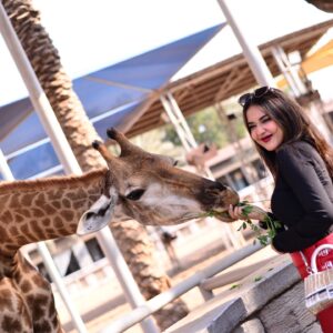 Riya Sharma Instagram - Made new FRAMDS! One leaf at a time! 🦒🫶

#abudhabi #emiratesparkzoo #travelinspo #ootd