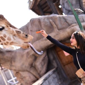 Riya Sharma Instagram - Made new FRAMDS! One leaf at a time! 🦒🫶

#abudhabi #emiratesparkzoo #travelinspo #ootd