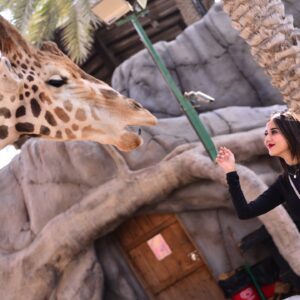 Riya Sharma Instagram - Made new FRAMDS! One leaf at a time! 🦒🫶

#abudhabi #emiratesparkzoo #travelinspo #ootd
