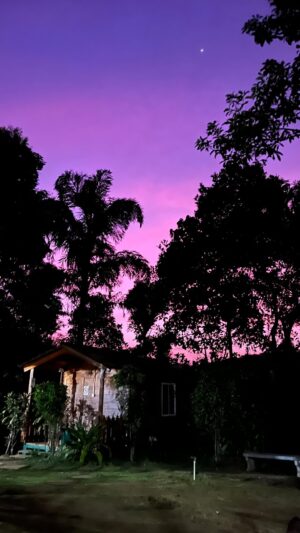 Rumana Nazarali Instagram - When the sky decides to surprise you ✨