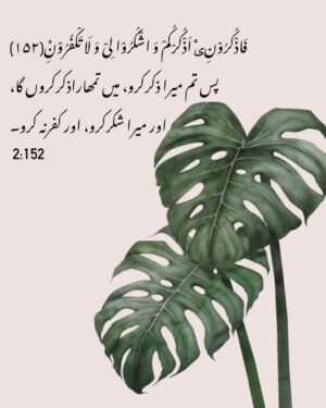 Sanam Chaudhry Instagram - I love this promise Allah made to us in the Quran ♥️
All we have to do is remember Him practically .. 
if Allah say gussa pi jao to pi jao !
maaf kro ehsan kro , gheebat na karo to na karo , hijab kro to karo , maa baap se uff tak na karo , and a lot more .. all we need to do is remember Him All the the time at all situations and keep following His instructions.. then Allah promised in this ayat that He will remember us ♥️ with all the promises He made in the Quran .. and i am experiencing His rehmatein and barkatein .. Alhamdulillah ♥️
And Allah says mera shuker kro , to shuker sirf mu se hi kerna hai? Ya Allah ka kaha maan ker practically?? 
Or jab hum uska kaha nahi mante to phir kuffar hi kerte hain , jis se Allah mana ferma rahe hain .
Thankyou @arrahmanarraheemnetwork  for making me understand the ayaat 🥲