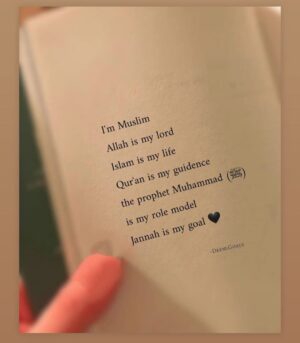Sanam Chaudhry Instagram - ♥️