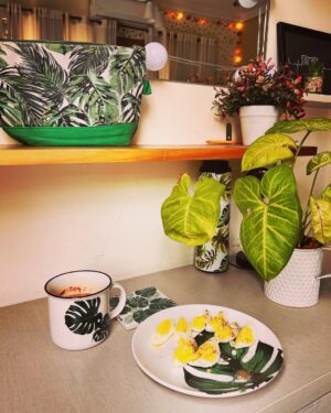 Sanam Chaudhry Instagram - My maid today : baji apki her chez per patey ku hain ? 

Ah! My love for plants 🌱🥹
Only plant lovers can understand 😅