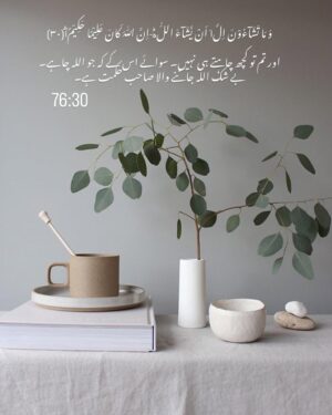 Sanam Chaudhry Instagram - beshak !! Allah has best plans for me .. i desire nothing but Allah ki raza ♥️
Allah ki raza hogi priority to sab kuch mil jae ga 🥹
I will only do what Allah wants me to do .. 
and what Allah wants us to do , its all written in the Quran ♥️all we need to do is attat .(follow)it