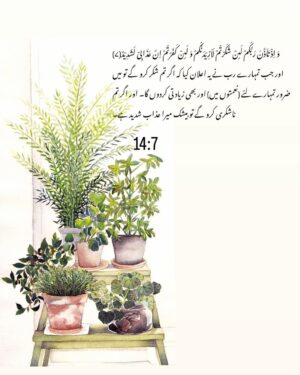 Sanam Chaudhry Instagram - The good news and the warning in this ayat ♥️ Ah!
The perks of being grateful =that He will increase us in the blessings , favours ( naimatein) , this is the promise of Allah ♥️

But if we deny by being ungrateful ( na shukerguzar ), we will surely loose everything.
Tip : we should be grateful (shuker guzar ) for every atta we have ,all the time !!! ♥️

Learning from @arrahmanarraheemnetwork 
@babar_r.chaudhry_official