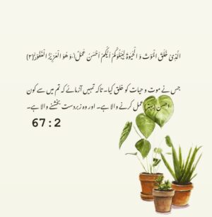 Sanam Chaudhry Instagram - The purpose of life 🍀
I never knew .. 
kabhi Quran jana jo nhi tha
i was like yolo people .. or apni merziyaan .. tabhi to sabbb tha per sukoon nhi tha.
Alhamdulillah for Allah’s biggest blessing that I understand His msg now .. 
Why am i in this world ?
This present life is just a test .. 
sirf Allah ka her hukum manana hai in the best of ways .. or amal ker k dusroon tak pohnchana hai ♥️ 
So do the best here .  And enjoy the rest here and there 😍
