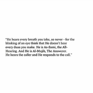 Sanam Chaudhry Instagram - O Allah 
Guide us to the straight path -
The path of those upon whom You have bestowed favor, not of those who have evoked [Your] anger or of those who are astray.
Ameen ❤