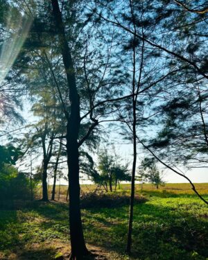 Sangeerthana Vipin Instagram - 🍃💚

.
.
.
.
.
.
.
.
.
.
.
.
. 📸 @indrajith.vinod 

#beach #beachvibes #sunset #evening #cousin #dayout #imagination