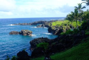 Sarah Dugdale Instagram - Went to Hawaii, had a good time 🌴