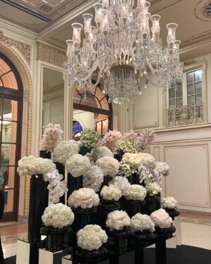 Sarah Roemer Instagram - ✨🌲✨ 

@theplazahotel