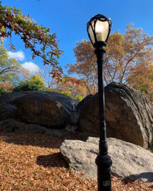 Sarah Roemer Instagram - NYC in the Fall 🫶🏻