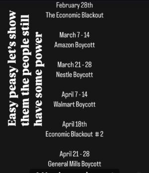 Sarah Silverman Instagram - If we all abstain from buying from these companies just for these days- it will make a dent- we will hit them in their wallets