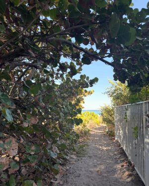 Saskia Thuot Instagram - Carrousel des derniers jours dans ma 2e maison. Lundi dernier, on a réservé nos billets et hop le lendemain, allo Floride 🌴 Non, le beau temps n’était pas au rendez-vous. mais les majestueux palmiers oui.  La mer…. Ahhhhh la mer! L’architecture et ses couleurs 🩵Une séance Cryo pour prendre soin de moi. Revoir les copines ( ohhh Marie-Jo 🫶🏻) et faire une vidéo pour Balmy. J’ai aussi pris la pose pour Balmy, c’est mon entreprise après tout ☺️ Faire une vidéo en mode « golden hour » pour ma douce Emma et la camion de poubelles en arrière 🫣 Une retrouvaille remplie d’émotions à Palm Beach et finalement, ma « florida partner », ma sœur de cœur qui me suit dans mes aventures, qui prend soin de moi en me préparant de jolis et délicieux repas et riant de mes blagues 😜 5 jours aussi nourrissants que divertissants❤️ 

#florida #friendship #sisters #happy @irisvisualgroup @balmy_towels @lingerieemma @karinelydiabergeron @zabelzazez @mariejosee_rivard @paule.labelle #friends