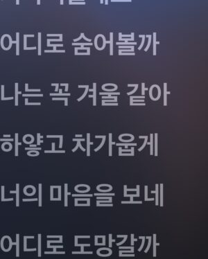 Seo Ji-hye Instagram - 맘껏 행복하시길.