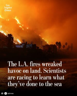 Sharon Lawrence Instagram - This is why we need what @healthebay offers , science, advocacy and local action. 
Repost from @latimes
•
L.A.’s devastating fires are only the latest episode in which the ocean has served as an unappreciated receptacle for trash and hazards originating on land.

The smoke from the fires, the debris piled up along decimated streets, the charred and toxic remnants of thousands of destroyed homes, businesses, cars and electronics — nearly all of it, eventually, will come to rest in the ocean.

Unlike the smoke that emanates from rural wildfires, the charred material now entering the ocean is the stuff of “people’s homes: their cars, their batteries, their electronics,” said Rasmus Swalethorp, a biological oceanographer at UC San Diego’s Scripps Institution of Oceanography. “It’s certainly going to contain a lot of things that we ideally don’t want to see in our oceans — and in our soils, for that matter, and our water streams, and certainly not on our dinner plates.”

Among scientists’ most immediate concerns is ocean water contamination. In addition to the already-massive footprint of ash offshore, Gold noted that runoff from the first few rainstorms is a huge concern. He’s had a flurry of conversations with city, county and state officials, who have been trying to proactively limit the amount of fire pollution going into the ocean.

The rain this week was the first significant precipitation in the region since May. In addition to the fires’ ash and chemical residue, it was also the first flush of nine months’ worth of daily pollution into the sea.

Read more at the link in bio.

✍ @corinnepurtill_lat @rosanna.xia 
📷 Wally Skalij; Rasmus Swalethorp/Scripps Institution of Oceanography; Robert Gauthier