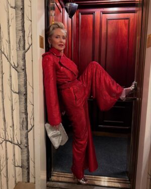 Sharon Stone Instagram - It’s good to have a leg up in NYC @american_heart #americanheartassociation

Creative Director: @theparislibby
Hair: @sebastianscolarici 
Makeup: @eldorayestes 

Jumpsuit: @nicolasjebran 
Bag: @themoire 
Shoes: @robertocavalli