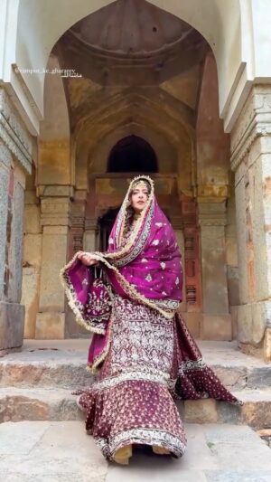 Shiny Dixit Instagram - Sakina Zamani Gharara! 👑 
Makeup by: @rushna_mua 
Inframe: @shinydixit05 
#rampur_ke_ghararey #handembroidery #dabka #zardosi #gharara #weddingdress #traditionalwear