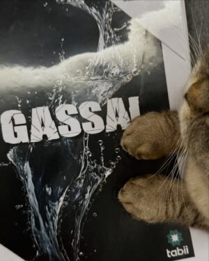 Sibel Aytan Instagram - #Gassal @tabii ‘de tüm bölümleriyle yayında!