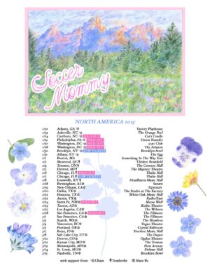 Sophia Regina Allison Instagram - Less than a week until tour starts 😱😱 go grab tix if you haven’t I can’t wait to see all of you out there 💗