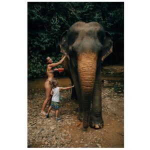 Stephanie Sigman Instagram - 🐘 💚✨ DECEMBER 2024 WITH MAGICAL CREATURES ✨💚🐘

📸 @brianandrewmendoza
