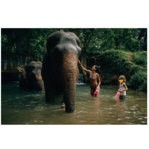Stephanie Sigman Instagram - 🐘 💚✨ DECEMBER 2024 WITH MAGICAL CREATURES ✨💚🐘

📸 @brianandrewmendoza