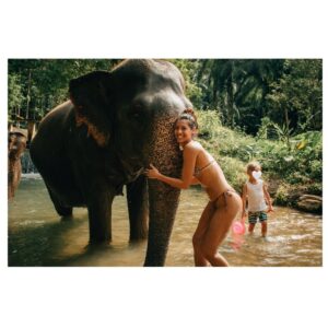 Stephanie Sigman Instagram - 🐘 💚✨ DECEMBER 2024 WITH MAGICAL CREATURES ✨💚🐘

📸 @brianandrewmendoza