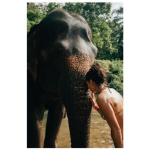 Stephanie Sigman Instagram - 🐘 💚✨ DECEMBER 2024 WITH MAGICAL CREATURES ✨💚🐘

📸 @brianandrewmendoza