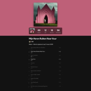 Stien den Hollander Instagram - Lieve allemaaal met trots en heeel veeel excitement presenteer ik de album cover van Mijn Haren Ruiken Naar Vuur 💕 Vanaf nu kan je mijn nieuwe plaat alvast opslaan op Spotify EN de vinyls bestellen via de link in mijn bio!! 💖💓💘💞