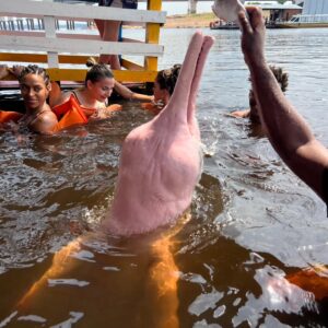 Sul Rosa Instagram - Obrigado Deus por mais essa experiência 
Amei essa viagem maravilhosa já tô com saudade do Amazonas 
Cidade de Manaus e top