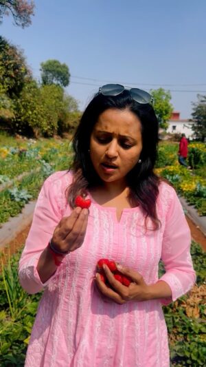 Suma Kanakala Instagram - #StrawberryFarm #Strawberryfarming #strawberries #trending #trendingreels #suma #farming