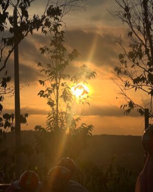 Sunaina Basheer Instagram - Scenes from Malaysia 🇲🇾A random but beautiful dump🦋💗