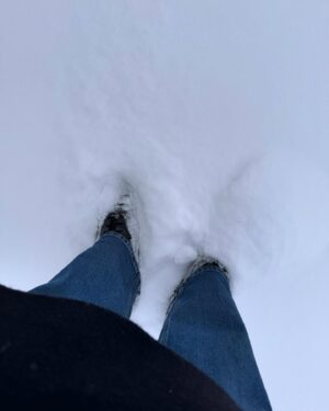 Titti Schultz Instagram - Vecka 4. Full rulle. 
Jobb, Umeå, opera, välja kök, dyrgrip, vänner, kalas, drömmöbel. 
#smärresammanfattning