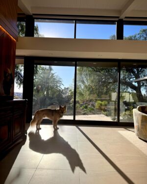 Tori Spelling Instagram - the post I didn’t want to have to do… days of watching destruction and monitoring and living in fear. I haven’t posted or shared bc social media was saturated. amazing kindness , sorrowful loss, helpful shares, and pleas. I didn’t want to be redundant. But, last night we were evacuated. I tried my best to hang in there and not just flee to flee but we had too finally. My hearts are w/everyone who have lost and suffered so much. But, as a mama bear w/5 kiddos & fur babies your gut tells you when it’s time to take action. And, all the amazing apps and LIVES that have been keeping us updated. In a SUV me and 5 kids, 3 large dogs, 1 cat, and a ferret left unplanned. Friends who care, told me for days to pack and have a plan. I should have listened. I fit us all in barely. No clothes. But grabbed photo albums. And fled. In a non planned panic I reached out to my friend I made recently Jami Schwartz . She had mentioned at Iheart jingle ball in December she works with @airbnb .i knew it was a long shot but as I just drove my kids onto  the 101 N with no plan she responded! @airbnb saved us! Literally! They stepped in and found something to house our massive family and pets and same night. Jami and Taylor I will forever be grateful! With terrified kids and one w/terrible asthma…I drove. My kids said “ Mom. You sure we should go this way? Freeway is standstill other direction. We are headed right into the fires”. Indeed we were.  Mother instinct took over and I pressed on north on 101. As we drove literally thru it and smoke coming thru car vents… I told my children to take a deep breath and hold and put Tshirts over their noses and mouths. I said then “This is scary but hopeful. We will drive thru it and past. It will be ok. I promise you all “ We pressed on. Leaving behind a burning LA. Indeed we were ok. We are some of the lucky ones. It looked and felt like a movie I’d seen too many times. But, while on the road @taylorgandy w/ @airbnb  stayed with us. My daughter Stella texting him as I drove. 1 place popped up. Taylor and amazing owners of our current #airbnb  connected. We are safe. Woke up to koi pond & a monarch butterfly sanctuary. Thanks Dad! #synchronicity 🦋