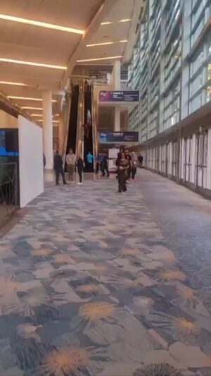 Trupti Bhoir Instagram - #flashback #thenammshow 🙏😇
Always keep looking at the world with wonder. Our New venture #blackbt Susex pedal 
.
.
.
.
.
.
#reelitfeelit
#love
#usatravel