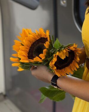 Vaidehi Nair Instagram - Sunflower 🌻💛
-
-
-
Shot by @akelaamusafiirr 
-
-
-
-
-
-
-
#vaidehiians #vaidehiinair #fyp #instagood #instadaily #sunflower #instagram #metro
