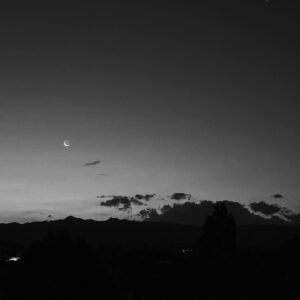 Virginia Da Cunha Instagram - LAS LUNAS EN MI 🌓 

La mujer desea ser aceptada como es, pero antes debemos reconectar con nuestra sagrada y tan menospreciada naturaleza cíclica. 
La sincronicidad entre el ciclo femenino y el de la luna rebela la conexión entre la mujer y lo divino, conexión por la cual la mujer posee los poderes propios del universo: dar la Vida, sustentar y crear. 

La menstruacion fue siempre un obstáculo en el sistema patriarcal. Algo sucio, molesto, sin sentido mas que para la procreación. Y eso ha alejado a las mujeres de su poder mas sagrado como creadoras y nutridoras. No solo de hijos.. sino de arte, de ideas, proyectos, verdades. 
Vale la pena analizar tu propia reacción ante ese flujo con el que convivís mes a mes para descubrir el por qué de cómo te sentís . ¿Cómo reaccionas cuando la sangre te mancha la ropa? ¿Sos capaz de tocarla? ¿Cómo te sentis si tu pareja la ve? ¿Usas tampones y esperas vivir ese periodo como el resto del mes? 
Reconectar con nuestra naturaleza cíclica es vital para vivir en armonía con nosotras mismas y despertar la sabiduría de nuestro cuerpo. 
Próximamente les comparto la energía de cada fase de nuestro período que es la misma que tiene la Luna. 
Quieren? 😘😘