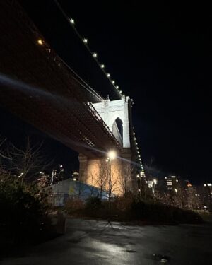 Vishka Asayesh Instagram - NYC Vibes 😎🤩
Under The Radar Theater Festival 
#newyork #theater #festival #actors #oldfriends #jazz #brooklynbridge