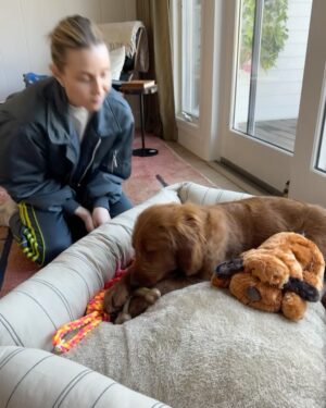 Whitney Port Instagram - Big Channel News: We got a puppy! Meet Penny. Timmys not 100% sold on the name so comment any name suggestions you have. 

She’s absolutely perfect. She’s only 4 months old and such a sleepy snuggler. I’ve never had a dog and always been a little scared of the responsibility. We all decided a week ago we were ready. This little nugget popped up on @californiadoodlerescues and we immediately applied. They called us the next day saying we got the dog and we were freaking out! I have to admit, I was a little scared but as soon as I met her and let her lick and make out with my face (which I never thought I’d do) I was in love! I can already feel it in my throat! Sonny is already in love too, he asked if she could come to college with him. 

The house feels full and fun and I’m just so happy. And so excited to share this new journey with you!