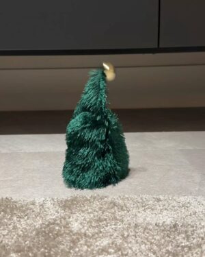mako Instagram - 初めての3人クリスマスはご飯食べてケーキまで辿りつかず
リビングで寝落ちするという終わり方だったけど
楽しかったし出来て良かった･*.🎄.*･ﾟ　
クリスマスプレゼントはベビーシューズにしました🎅🏻
写真の私はすごい笑顔だげど
口内炎痛すぎて変な顔でご飯食べたのも思い出です
来年は口内炎ありませんように🙁
