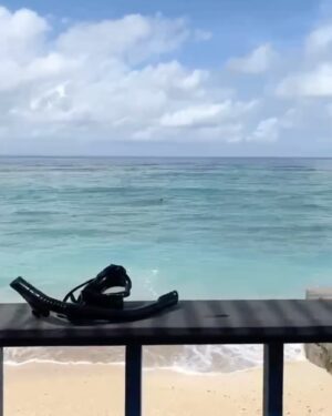 9m88 Instagram - 膽小狗英雄之旅結業式🎓
I left my heart in Bali and Gili🏝️💞
嘗試了好多沒體驗過的 早睡早起女兵日記
還背氧氣罩潛水了🤿
每一口氧氣都是幸福的🐠🫧🫧🫧