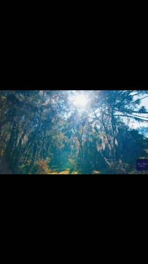 Aamina Sheikh Instagram - When finally your world began to become your paradise...
A little from of something very exciting, a beautiful collaboration we are genuinely excited for and looking forward to bring to you!
@umera_ahmedofficial X @aaminasheikh
#umeraahmed #aaminasheikh #comingsoon