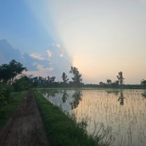 Aamina Sheikh Instagram - 👩🏽‍🌾👩🏽‍🌾🤎🤎🌳🌳
.
.
.
@samiyamumtazactor 
.
.
.
#sisterhood #dosti #foreverfriends #farming #farmer #samiyamumtaz #home #homegrown #thisisthelife