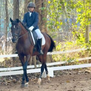 Aarthi Mohan Instagram - Really proud that our kids Purvi & Arnav won the gold and bronze in the dressage trot test competition today!! 
Glad to see them follow their passion in a sport that is close to my heart as well! ❤️