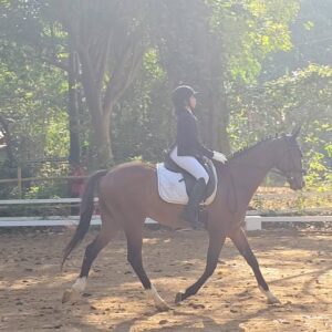 Aarthi Mohan Instagram - Really proud that our kids Purvi & Arnav won the gold and bronze in the dressage trot test competition today!! 
Glad to see them follow their passion in a sport that is close to my heart as well! ❤️