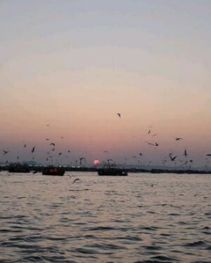 Aastha Chaudhary Instagram - Kuch aisa raha hamara kumbh .
Some journeys change you forever. Kumbh was one of them. 12 days, multiple dips at sangam and moments that felt like eternity. In the chaos of Kumbh, I found a rare kind of peace.
From the first holy dip to the last golden sunrise—Kumbh was a journey of faith, energy, and something beyond words.....😇
Har Har Mahadev 🙏
#gratitude #blessed #mahakumbh