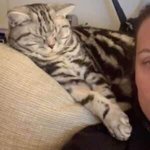 Abbie Eaton Instagram - Sleep tight my darling boy 💔

Binx 2022 - 2025 

You’ve always been my perfect little handsome squishy baby, who always loved ‘tuma tickuls’ and chin scratches. A gentle giant with shovel hands and a fluffy tummy. 

Mummy will love you and miss you for the rest of her life. I’m sorry you were taken away so soon, but my god were you loved. 

I hope you and Leo have a wonderful time catching up on all the play fighting you’ve missed out on. And know that little Elvis will miss you terribly. 

Thanks for being the most perfect little man ever. Can’t believe you’re actually gone 😭😭 

Your wings were ready, but my heart was not 💔

I love you Binx, so much ❤️❤️❤️