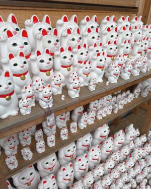 Aisa Senda Instagram - -
豪德寺🐱
一直都很想去的寺廟
傳說中的好多可愛的招財貓
看過去真是很壯觀 
大隻的小隻的
實在是太可愛了💛💛💛
幸福感100%🐱

今天早上還有去了豊川稲荷東京別院
好多日本藝人都去的神廟
有一次到東京工作 日本工作人員介紹才知道這神廟
後來我固定去豊川稲荷東京別院16年

雖然我沒有特別信仰 但我相信有神
今天是参拝day❣️

祝福平安健康 心想事成☺️

#豪德寺 #豊川稲荷 #招き猫